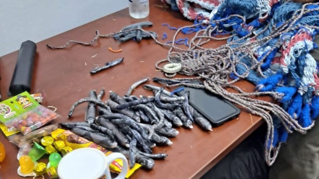captura en San Pedro Sula Intentaba Traficar Cocaína y Metanfetamina a España