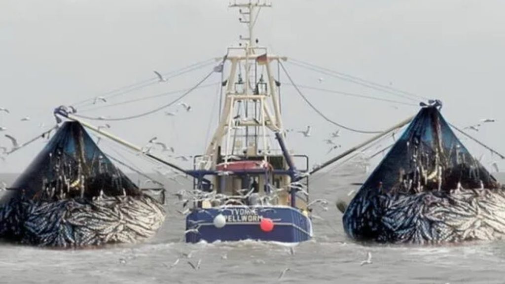 Congreso Reduce Multas a Empresas Pesqueras por Extracción Ilegal en Paracas