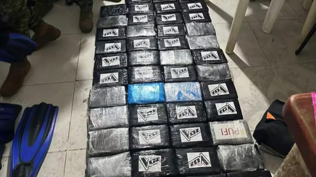 Armada incautó 47 kg de cocaína en Santa Marta