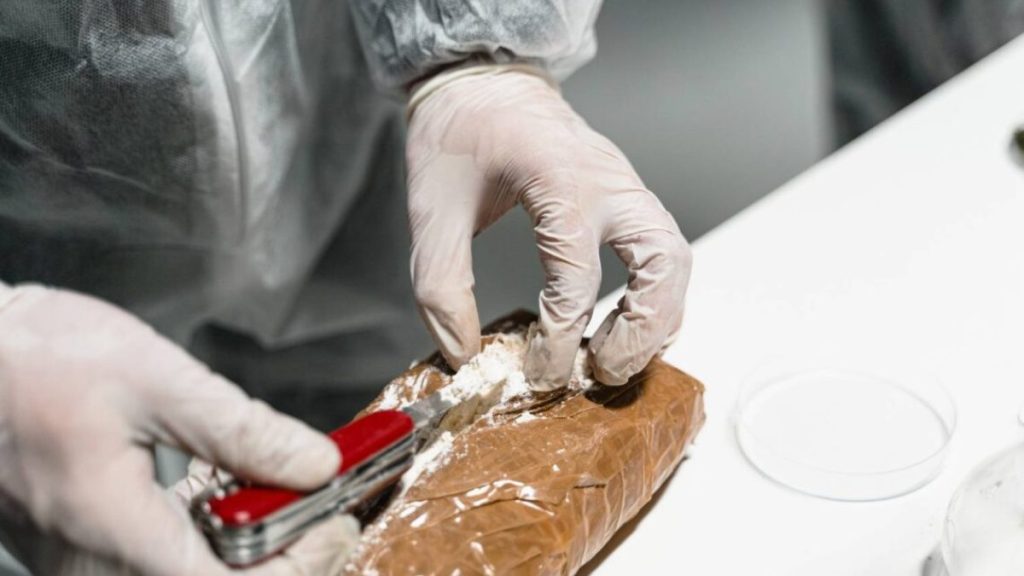 Desmantelan operación de narcotráfico en El Bronx
