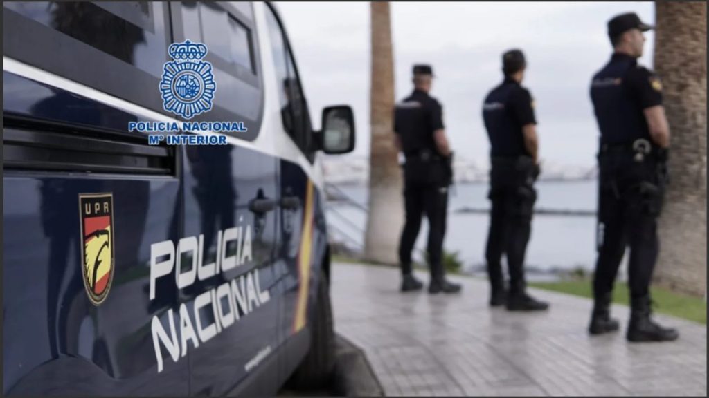 Desmantelan red internacional de inmigración ilegal en una operación conjunta