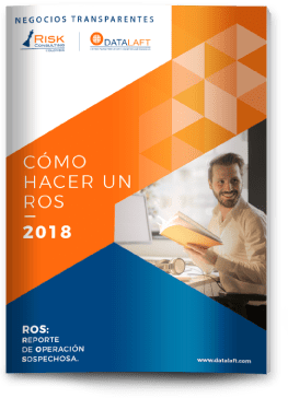 Ebook Cómo hacer un ROS