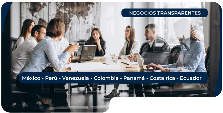 risk consulting global group negocios transparentes