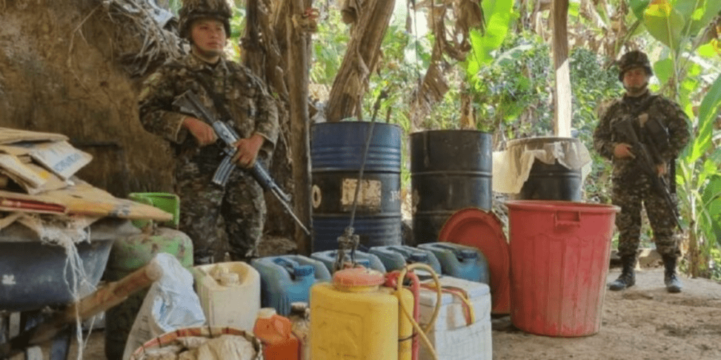 Operaciones Contra El Narcotráfico: Localizados Depósitos Ilegales Y Semilleros En Norte De Santander
