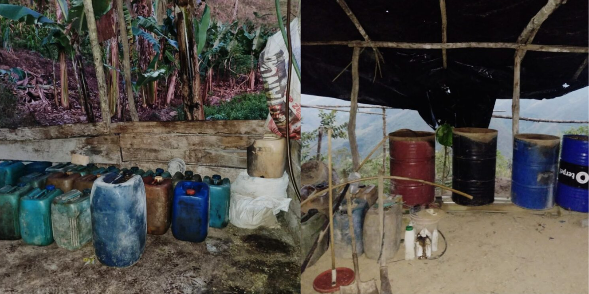 Operaciones Contra El Narcotráfico: Localizados Depósitos Ilegales Y Semilleros En Norte De Santander