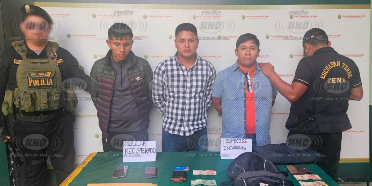 Grupo Terna desarticula banda criminal en pleno cercado