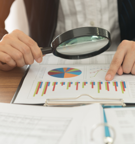 Procesos auditoría interna